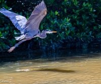 12957203255_f24cb3c5f3_b