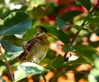 14852132520_5417b45f90_o