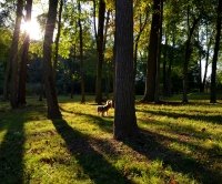 15473707872_b2609fadf1_k